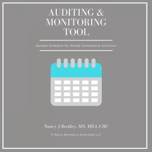 Auditing Monitoring Tool 1 300x300